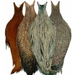 Feathers