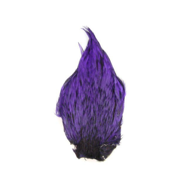 45454.png