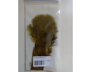 Cul De Chicken-Olive