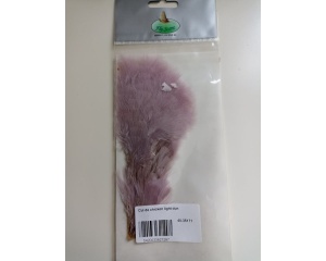 Cul De Chicken-Ligh Purple