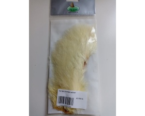 Cul De Chicken-Yellow