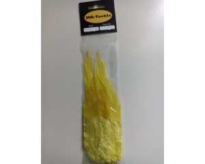 Feathers Yellow