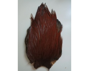 Cock neck/Kukk brown
