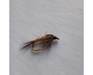 Gold Ribbed hares ear #12