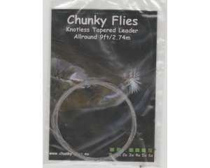 Knotless Tapered Leader 2x