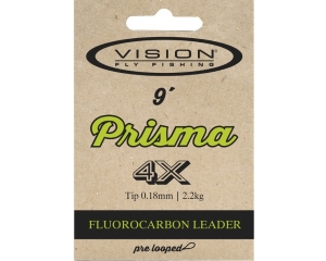 Vision Prisma 4x Leader