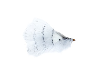 Pattegrisen Grizzly Shrimp #4