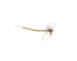 Mayfly Dun Vanilla #10