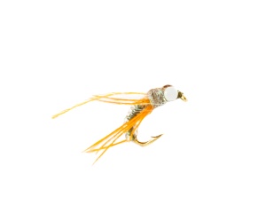 Caddis Pupa #10