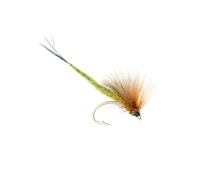 Connemara Mayfly #8