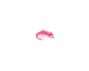 Pink Shrimp #14