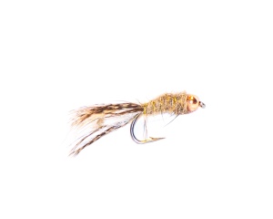 Peeping Caddis #10