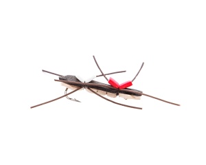 Chernobyl Ant 8#