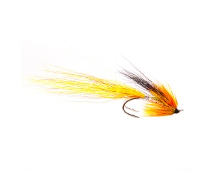 Cascade Shrimp #6 DBL