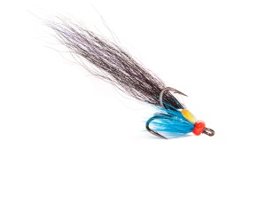 Arndilly Fancy #6