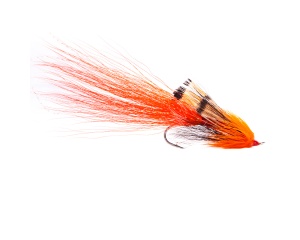 Ally's Shrimp #4 SGL