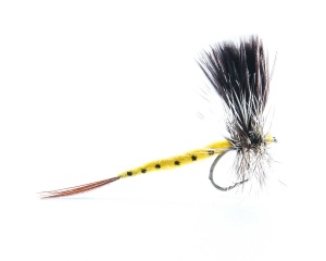 Mayfly Silhouette #10