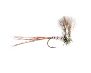 Baz Mayfly #8