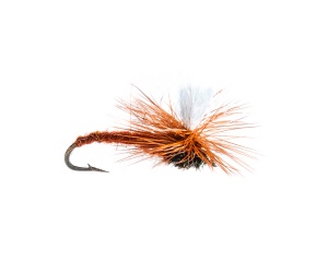 Light Brown Klinkhammer