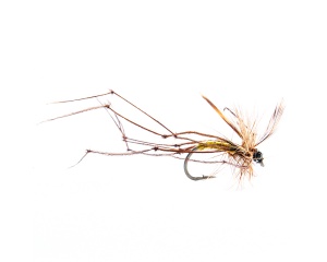 Daddy Longlegs #12