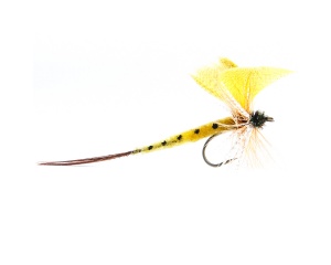 Mayfly Thomas Yellow #10