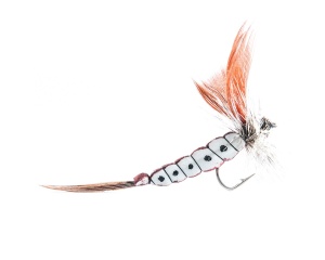 Plastazote Mayfly #10