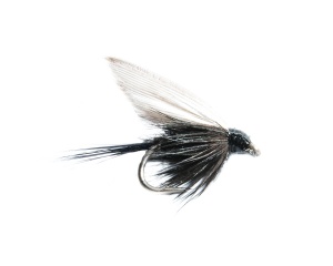 Black gnat #14