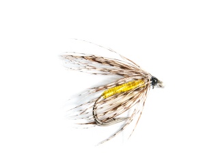 Spider Partridge & Yellow #12