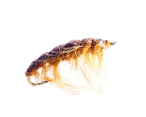 Hairy Sedge #12