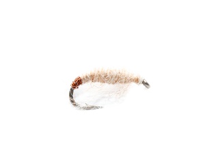 Killer Bug #14